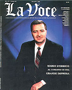 La Voce - Mario D'Errico
